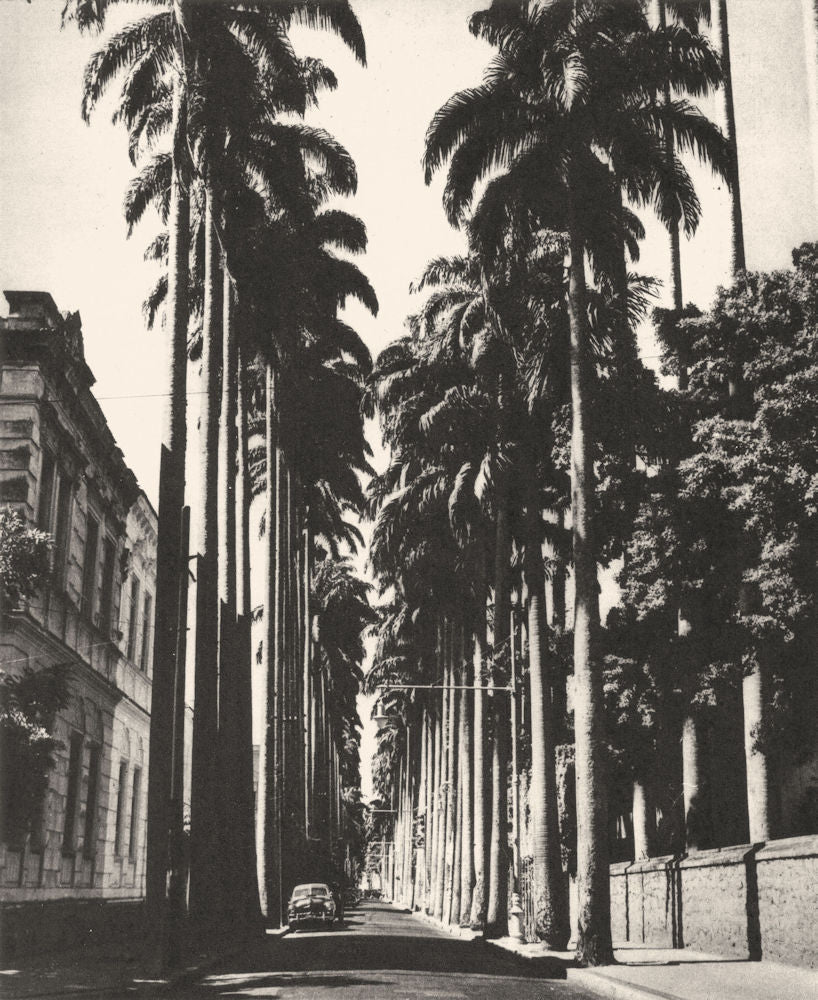 BRAZIL. Rio de Janeiro. La Rue Passandu 1951 old vintage print picture